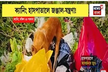 গত ১ মাস ধরে ভোগান্তির একশেষ, ক্যানিং হাসপাতাল চত্বরে জঞ্জাল-যন্ত্রণা