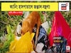 গত ১ মাস ধরে ভোগান্তির একশেষ, ক্যানিং হাসপাতাল চত্বরে জঞ্জাল-যন্ত্রণা
