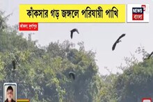 Bardhaman News: কাঁকসার গড় জঙ্গলে পরিযায়ী পাখি, ভিন দেশ থেকে আসছে পাখিদের ঝাঁক