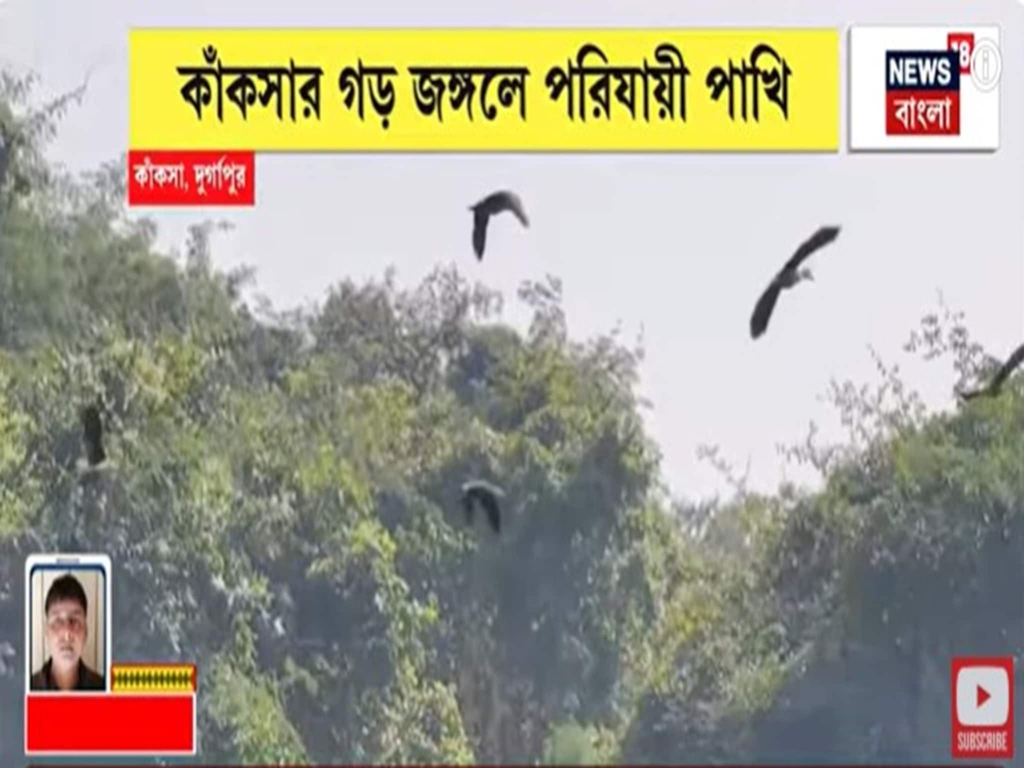 Bardhaman News: কাঁকসার গড় জঙ্গলে পরিযায়ী পাখি, ভিন দেশ থেকে আসছে পাখিদের ঝাঁক