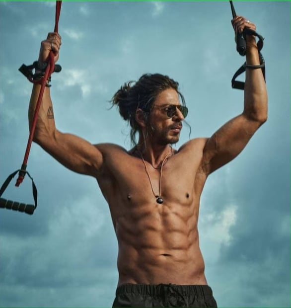 সাধারণত অনেকেই রাতে তাড়াতাড়ি ঘুমাতে যাওয়া এবং তাড়াতাড়ি ঘুম থেকে ওঠার পরামর্শ দেন। কিন্তু শাহরুখ খান বলেছেন যে তাঁর ঠিক উল্টো অভ্যাস রয়েছে। ‘‘আমি ভোর ৫টায় ঘুমাতে যাই এবং সকাল ৯টা বা ১০টার মধ্যে ঘুম থেকে উঠি। এটি একটি অস্বাভাবিক, কিন্তু সুশৃঙ্খল সময়সূচি। আমি অনেক দিন ধরে এই ঘুমের রুটিন অনুসরণ করে আসছি,’’ শাহরুখ খান এক সাক্ষাৎকারে বলেছিলেন। (Photo: Instagram)