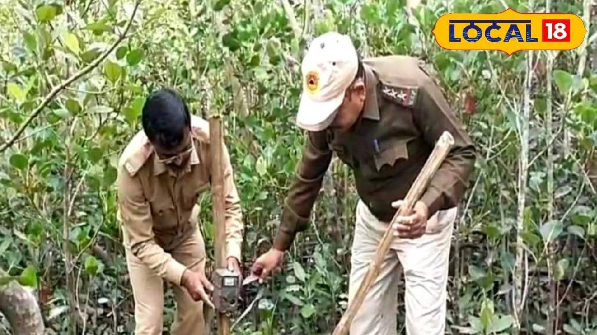 শীত মানেই সুন্দরবনে পর্যটকদের ভিড়! এই আবহে শুরু বাঘ শুমারির কাজ