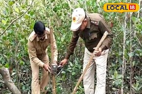 শীত মানেই সুন্দরবনে পর্যটকদের ভিড়! এই আবহে শুরু বাঘ শুমারির কাজ