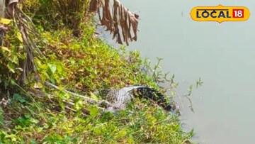 পুকুরপাড়ে