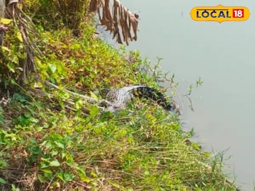 পুকুরপাড়ে