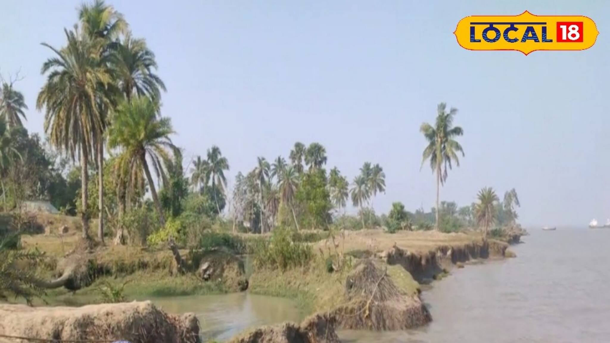 পুকুরে থাকা স্পঞ্জ শুষে নিচ্ছে জলের আর্সেনিক, জিঙ্ক, লোহার মতো দূষণকারী ধাতু