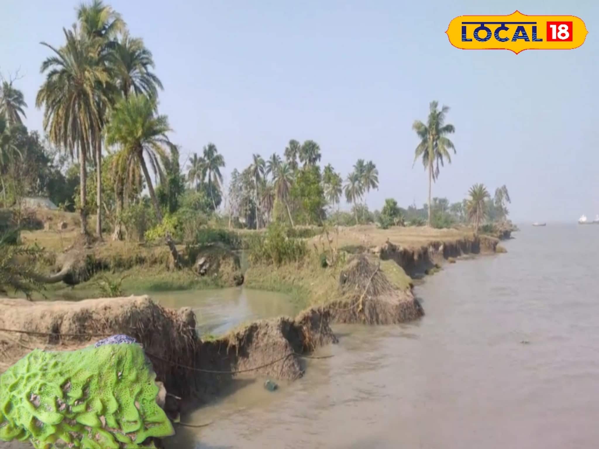 পুকুরে থাকা স্পঞ্জ শুষে নিচ্ছে জলের আর্সেনিক, জিঙ্ক, লোহার মতো দূষণকারী ধাতু