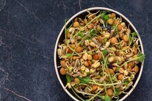 Raw Sprout Health Benefits: রোজ অঙ্কুরিত ছোলা-মুগ খাওয়া শরীরের জন্য উপকারী, তবে কিডনির রোগীরা সাবধান! জানুন চিকিৎসকের মত