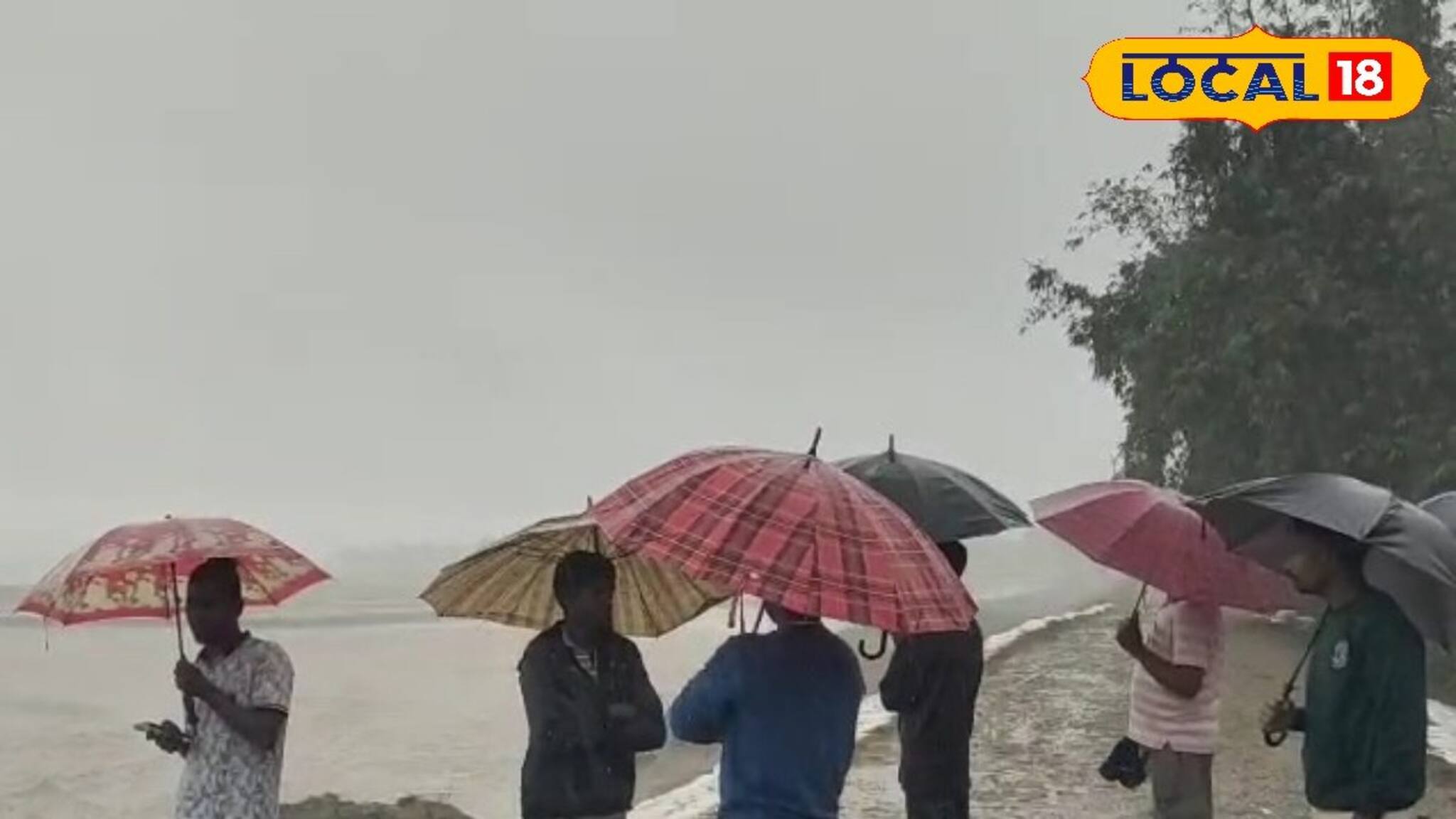 আশঙ্কাই সত্যি হল! রুদ্ধশ্বাস তোর্ষা ভেঙে দিল 'এই' চা বাগানের বাঁধ, হু হু করে ঢুকছে জল