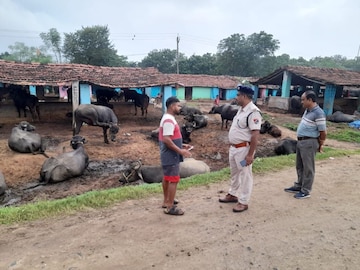* বারবার লাইনে গবাদি পশুর চলে আসা, সমস্যা রেল চলাচলে * বারবার লাইনে গবাদি পশুর চলে আসা, সমস্যা রেল চলাচলে