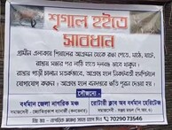 West Bengal news: শিয়ালের হামলা নিয়ে আতঙ্কে বাসিন্দারা, সতর্ক করতে টাঙানো হল ফ্লেক্স