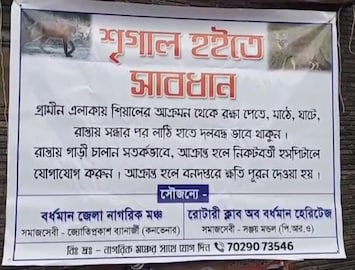 শিয়ালের আতঙ্কে বাসিন্দারা, সতর্ক করতে টাঙানো হল ফ্লেক্স শিয়ালের আতঙ্কে বাসিন্দারা, সতর্ক করতে টাঙানো হল ফ্লেক্স