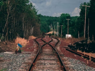দেব দীপাবলীর সকালেই গঙ্গাস্নানে যাওয়া পুণ্যার্থীদের পিষে দিল অন্যদিক থেকে আসা ট্রেন