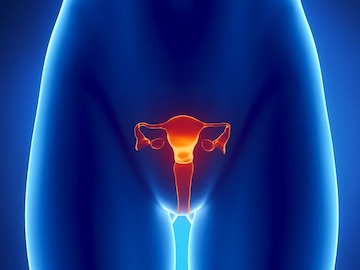 মূত্রনালীর সংক্রমণ? জ্বালা পোড়া? দুর্দান্ত সমাধান নিয়ে এল আয়ুর্বেদ! এই 'সবজি' ধন্বন্তরি! মূত্রনালীর সংক্রমণ? জ্বালা পোড়া? দুর্দান্ত সমাধান নিয়ে এল আয়ুর্বেদ! এই 'সবজি' ধন্বন্তরি!