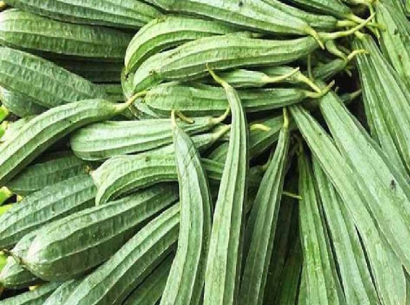 ঝিঙে: ঝিঙেতে অনেকসময় কৃমি দেখা যায়। এই কৃমিগুলো এক সপ্তাহের মধ্যে প্রায় চোখে না পড়ার মতো আকার থেকে এক ইঞ্চি পর্যন্ত লম্বা হয়ে যেতে পারে, এবং কয়েক দিনের মধ্যেই পুরো গাছ খেয়ে ফেলতে পারে। যদি কৃমিযুক্ত ঝিঙে খান, তাহলে কৃমি শরীরের ভিতর ঢুকে সোজা চলে যায় ব্রেনে। তাই ঝিঙে ভালোভাবে ধুয়ে কৃমিযুক্ত অংশটি কেটে ফেলুন।