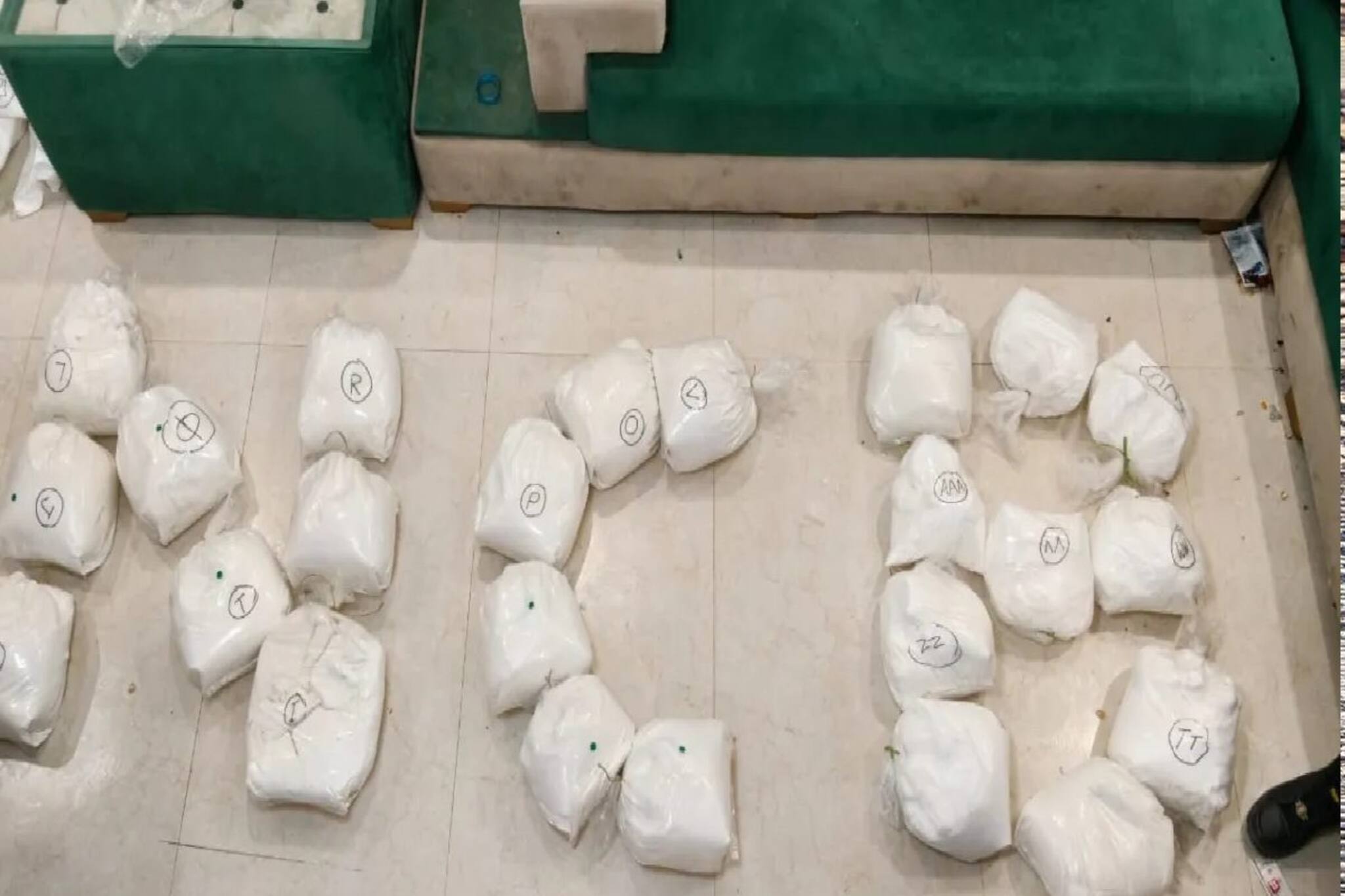 বড় সাফল্য NCB-দিল্লি পুলিশের, রাজধানী থেকে উদ্ধার ২৬২ কোটি টাকার মাদক