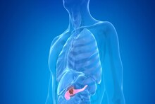 Pancreatic Cancer:বাড়ছে প্যানক্রিয়াটিক ক্যানসার, সাধারণ পেট-ব্যথা, পেট-ফাঁপাও হতে পারে মারণ রোগের উপসর্গ, আর যে-যে লক্ষণ ভয়ের, জানালেন চিকিৎসক