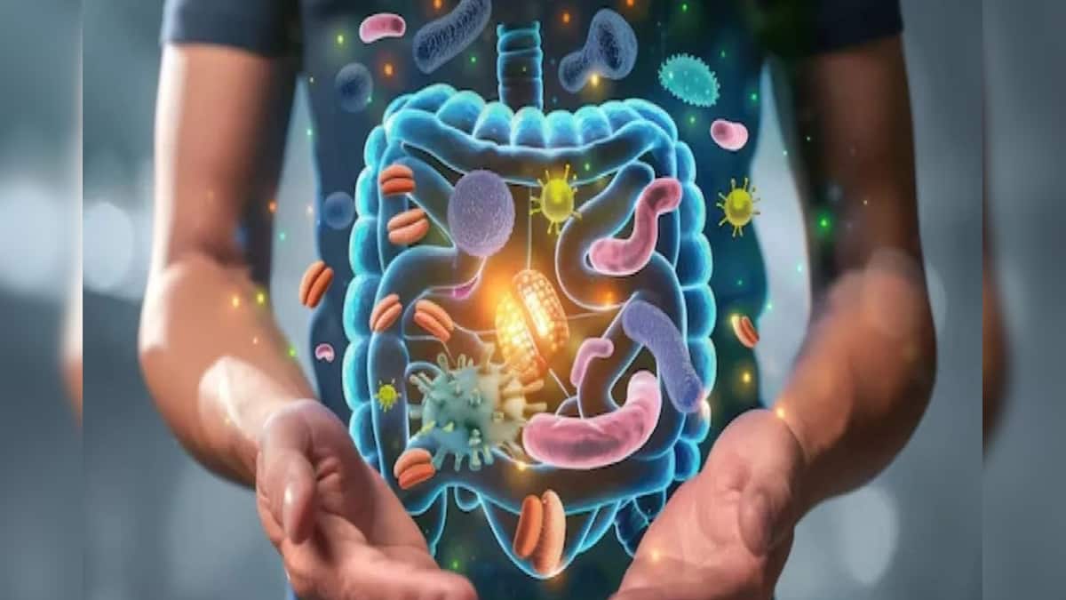 30-30-3 Rule For Gut Health: মুঠোমুঠো অ্যান্টাসিড নয়, ৩০-৩০-৩ নিয়মেই গায়েব গ্যাস-অ্যাসিডিটি-পেট ফাঁপা, ভাল থাকবে লিভারও, কী এই পদ্ধতি? পড়ুন 30-30-3 Rule For Gut Health: মুঠোমুঠো অ্যান্টাসিড নয়, ৩০-৩০-৩ নিয়মেই গায়েব গ্যাস-অ্যাসিডিটি-পেট ফাঁপা, ভাল থাকবে লিভারও, কী এই পদ্ধতি? পড়ুন