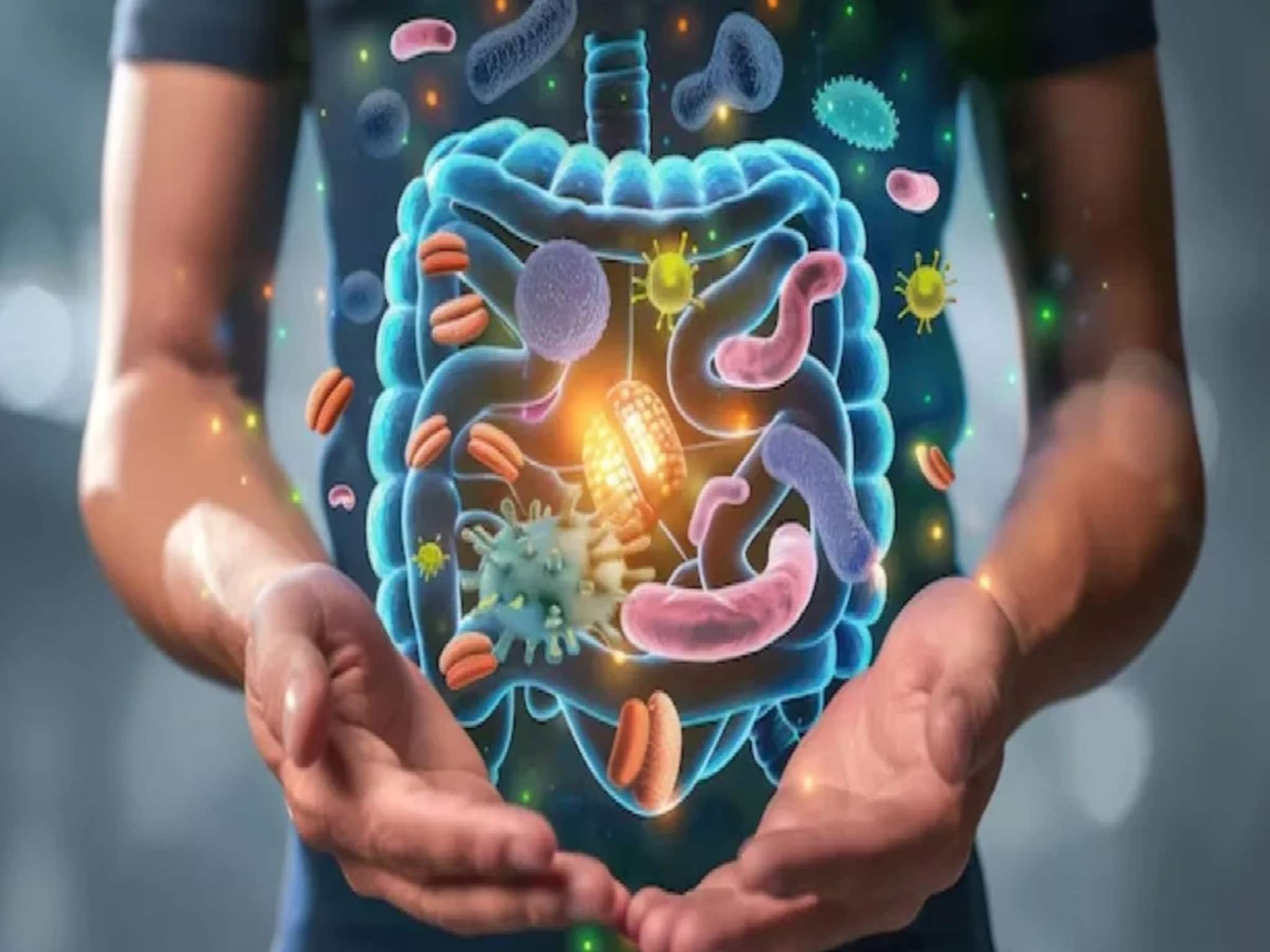 30-30-3 Rule For Gut Health: মুঠোমুঠো অ্যান্টাসিড নয়, ৩০-৩০-৩ নিয়মেই গায়েব গ্যাস-অ্যাসিডিটি-পেট ফাঁপা, ভাল থাকবে লিভারও, কী এই পদ্ধতি? পড়ুন