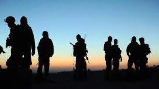 ২৯০০ কেজি বিস্ফোরক, ৩ চিকিৎসক-সহ গ্রেফতার মোট ৭! দিল্লির দোরগোড়ায় ভয়ঙ্কর নাশকতার ছক   Representative Image