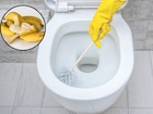 হাত দিতে হবে না, মিনিটে উঠে যাবে টয়লেটের নোংরা হলুদ দাগ! শুধু চাই কলার খোসা আর ১ টাকার...