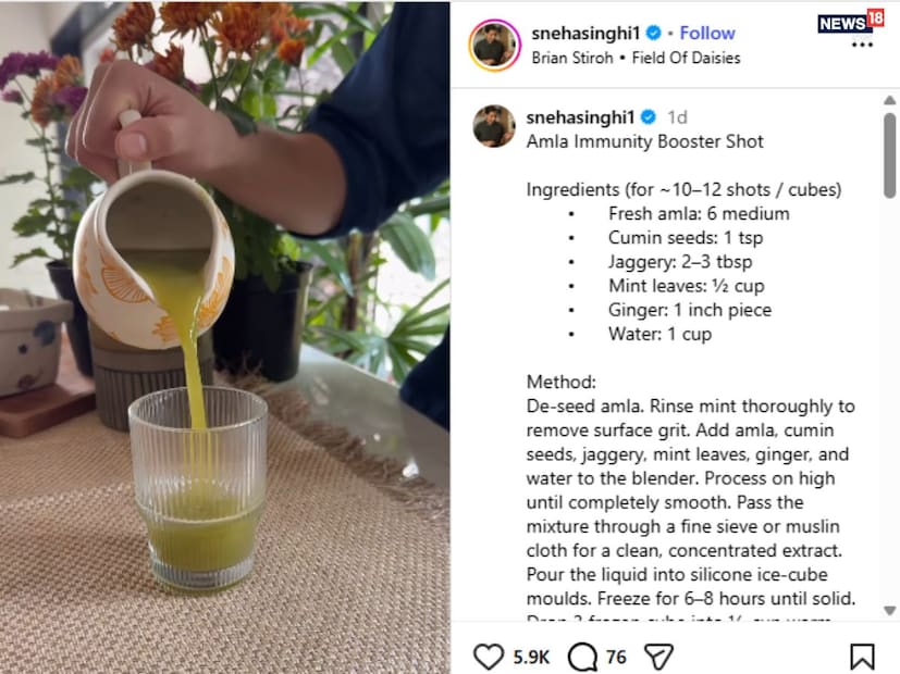 শেফ এবং এফএন্ডবি কনসালটেন্ট স্নেহা সিংহী উপাধ্যায় তাঁর সোশ&#x200d;্যাল মিডিয়ার একটি পোস্টে জানান আমলকির রস রোজ সকালে খেলে স্বাস্থ্যের জন্য বড় ধরনের সহায়ক হতে পারে।