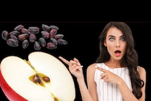 Apple: আপেলের বীজ কখন খুব ক্ষতিকারক? না জেনে চিবিয়ে ফেললে সর্বনাশ হতে পারে! আসল সত্যিটা জেনে নিন