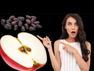 আপেলের বীজ কখন খুব ক্ষতিকারক? না জেনে চিবিয়ে ফেললে সর্বনাশ হতে পারে! আসল সত‍্যিটা জেনে নি