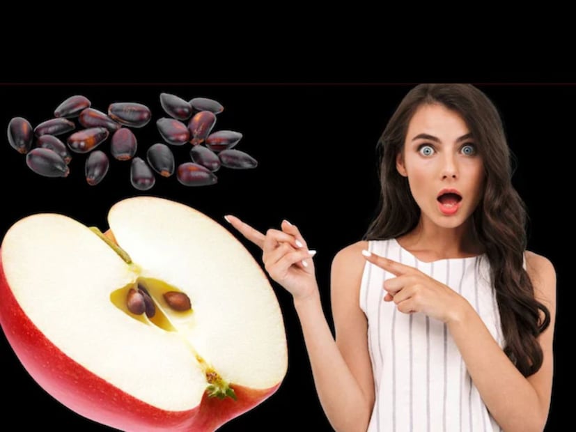 দিনে একটি আপেল খেলেই যেতে হবে না ডাক্তারের কাছে। আপেলের উপকারীতার কথা সর্বজনবিদিত। বেশিরভাগ ক্ষেত্রেই পুষ্টিবিদরা পরামর্শ দেন আপেল খাওয়ার। কিন্তু আপেলের বীজ? অনেকেই মনে করেন আপেলের বীজ খাওয়া স্বাস্থ‍্যের পক্ষে হানিকর। কিন্তু আসল সত‍্যিটা কী? দিনে একটি আপেল খেলেই যেতে হবে না ডাক্তারের কাছে। আপেলের উপকারীতার কথা সর্বজনবিদিত। বেশিরভাগ ক্ষেত্রেই পুষ্টিবিদরা পরামর্শ দেন আপেল খাওয়ার। কিন্তু আপেলের বীজ? অনেকেই মনে করেন আপেলের বীজ খাওয়া স্বাস্থ‍্যের পক্ষে হানিকর। কিন্তু আসল সত‍্যিটা কী?