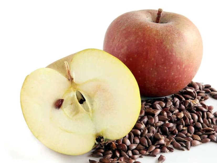 এই বীজগুলোর বাইরের খোসা পাচনতন্ত্রে হজম হয় না এবং বীজগুলো ভাঙা ছাড়াই শরীর থেকে বেরিয়ে যায়। যদি আপনি ৫-১০টি বীজ ভালভাবে চিবান, তখনই এমিগডালিন ভেঙে সায়ানাইড রিলিজ করতে পারে, কিন্তু তার পরিমাণ খুবই কম হবে।