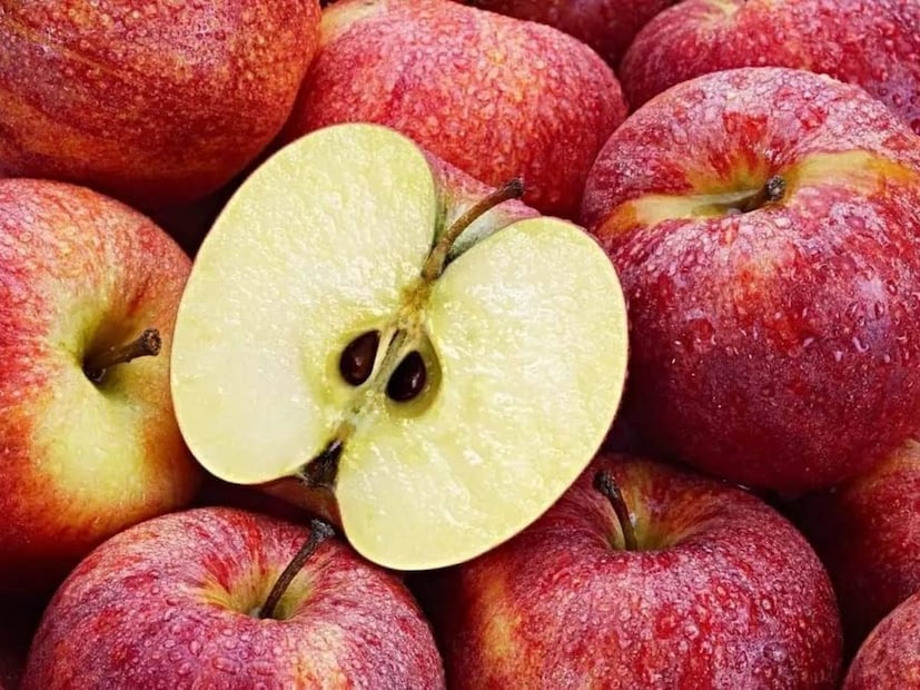 প্রচুর মানুষের ধারণা আপেলের বীজ খেলে মৃত&#x200d;্যুও পর্যন্ত হতে পারে। কিন্তু এ ধারণা কী সত&#x200d;্যি? বিজ্ঞানীদের মতে এমন ধারণার কোনও কারণ নেই। এই বীজ গিলে ফেললে এমিগডালিন থেকে সায়ানাইড তৈরি হয় না, বরং এর জন্য বীজগুলো চিবানো বা পিষা প্রয়োজন।