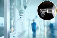 রক্তপাত বন্ধ করতে সেলাইয়ের বদলে ফেভিক্যুইক! শিশুর মাথার আঘাতে ভুল চিকিৎসার ভয়ঙ্কর অভিযোগ