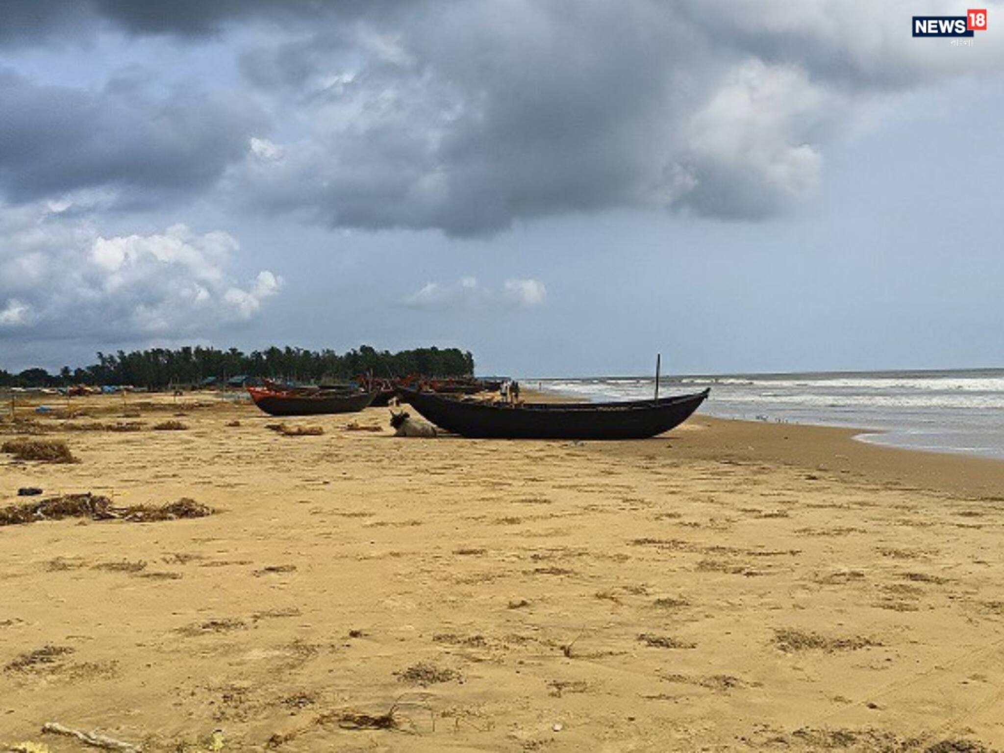 Accident: মন্দারমণি সমুদ্রে দুঃস্বপ্ন! বর্ধমান পুলিশ অফিসারের ছেলে নিখোঁজ, চলছে নুলিয়াদের তল্লাশি