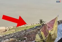 ভেঙে পড়ে রয়েছে নদীপাড়ের রেলিং, গড়চুমুক পর্যটনকেন্দ্রে এ কী দশা...