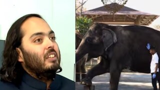 বন্যপ্রাণ পালন এবং সংরক্ষণে সম্পূর্ণ বৈধ বনতারা! নিশ্চিত করল জাতিসংঘ, বিশ্বমঞ্চে পেল প্রংশসা