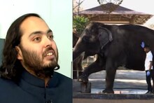 বন্যপ্রাণ পালন এবং সংরক্ষণে সম্পূর্ণ বৈধ বনতারা! নিশ্চিত করল জাতিসংঘ, বিশ্বমঞ্চে প্রংশসা