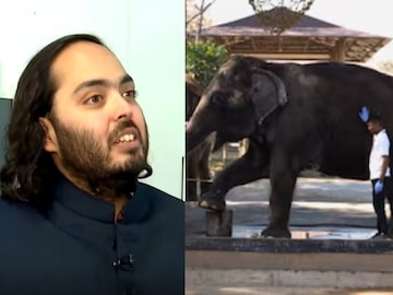 বন্যপ্রাণ পালন এবং সংরক্ষণে সম্পূর্ণ বৈধ বনতারা! নিশ্চিত করল জাতিসংঘ, বিশ্বমঞ্চে পেল প্রংশসা