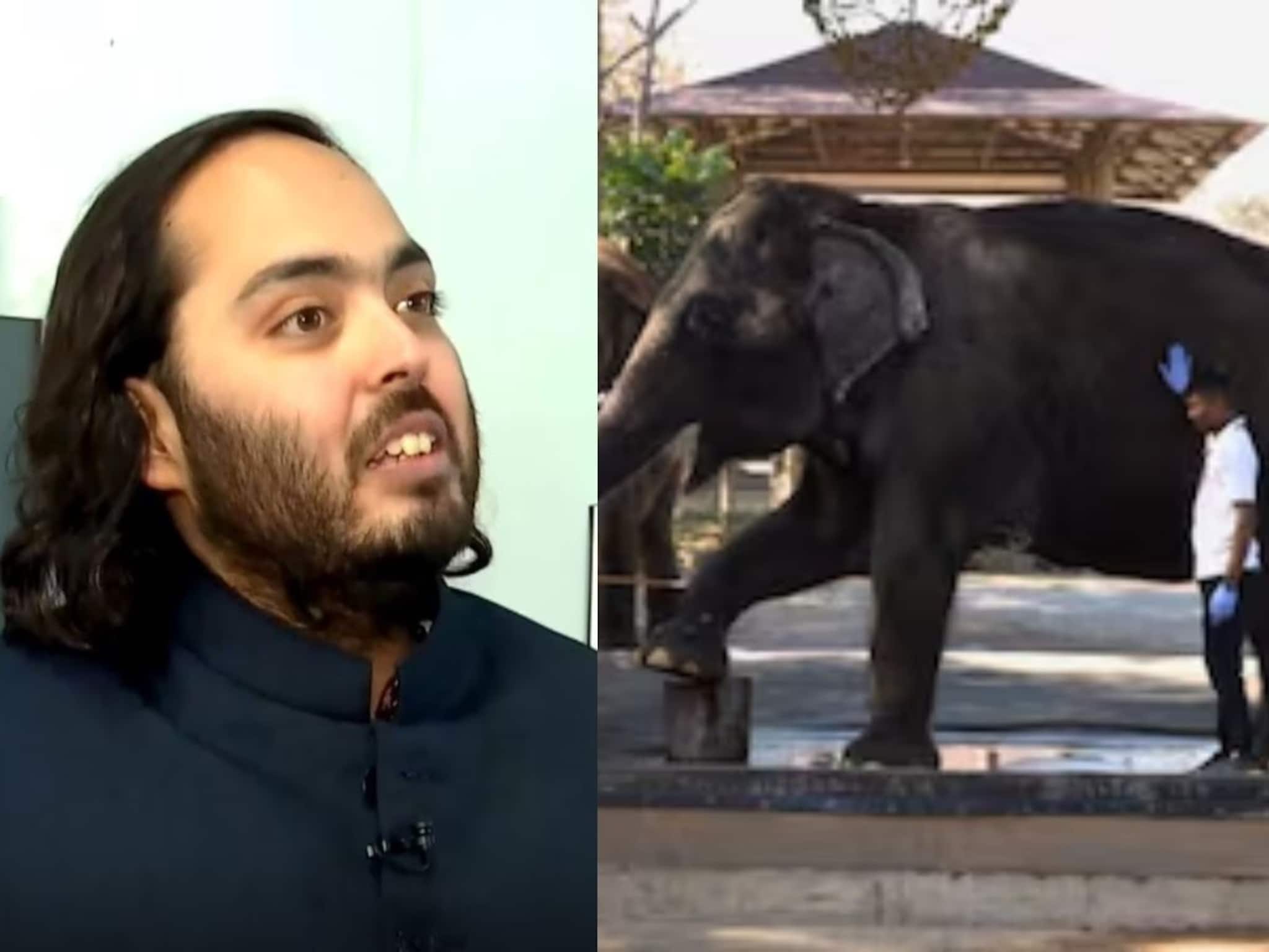 Vantara: বন্যপ্রাণ পালন এবং সংরক্ষণে সম্পূর্ণ বৈধ বনতারা! নিশ্চিত করল জাতিসংঘ, বিশ্বমঞ্চে পেল প্রংশসা