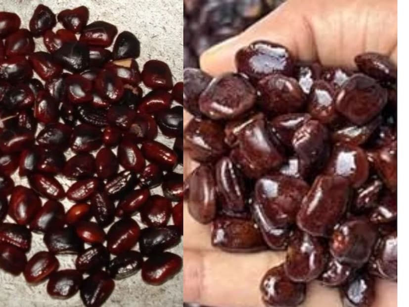 যেখানে কিছু ঘন করতে বা টেক্সচার ভাল করতে হয়, যেমন আইসক্রিম, জুস, সস, কনফেকশনারি, এসব জায়গায় তেঁতুলের বীজের ব্যবহার দ্রুত বাড়ছে। এটা খাবারে নিরাপদ বলে অনেক কোম্পানির প্রথম পছন্দ হয়ে উঠেছে। তেঁতুলের বীজের থাকা ন্যাচারাল পলিমার ফেস প্যাক, ক্রিম, জেল, ওষুধে ব্যবহার হয়। এটা ত্বককে ময়েশ্চার দেয় আর ওষুধকে ঠিক টেক্সচার দেয়।