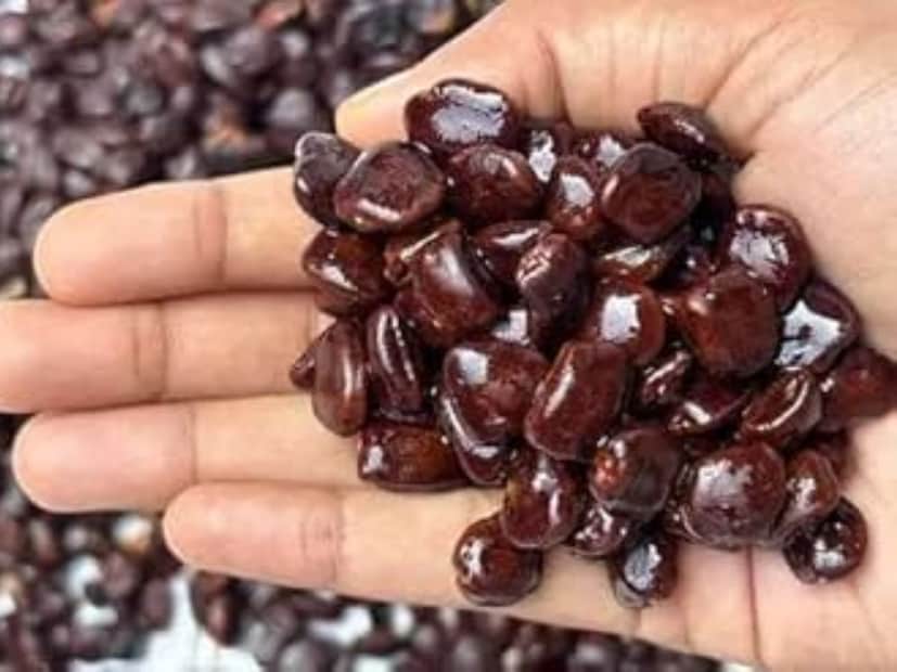 তেঁতুলের বীজ গাঁটের ব্যথা আর ফোলাভাবেও কার্যকর বলে ধরা হয়। নিয়মিত খেলে হাড় শক্ত হয় আর শরীরে শক্তি বাড়ে। গলার খুসখুসে দূর করতে এগুলো ব্যবহার হয়, তাই এটা একটা প্রাকৃতিক ঘরোয়া চিকিৎসা হয়ে যায়।