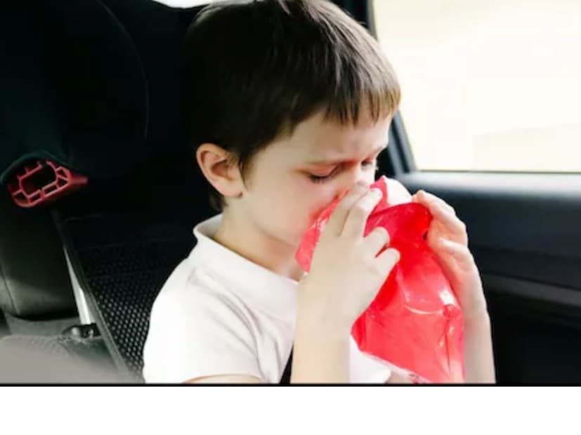 চালক কেন বমি করে না? খান স্যার যখন এটা বোঝাচ্ছিলেন, তখন আরেকজন ছাত্র জিজ্ঞাসা করে, ‘‘তাহলে ড্রাইভার কেন বমি করে না?’’ খান স্যার ব্যাখ্যা করেন যে চালকের শরীর সবচেয়ে বেশি সক্রিয় থাকে। গাড়ি চালানোর সময় তার মস্তিষ্ক, চোখ, হাত এবং পা সবই সক্রিয় থাকে। সে ক্রমাগত রাস্তা, গতি এবং ট্র্যাফিকের দিকে মনোযোগ দেয়। এই কারণে শরীরের প্রতিটি অংশ থেকে সঠিক এবং সম্মিলিত সঙ্কেত মস্তিষ্কে পৌঁছায়। চোখ এবং কান উভয়েই একই সঙ্কেত পাঠায়, তাই মস্তিষ্ক বিভ্রান্ত হয় না। এই কারণেই চালকরা সাধারণত বমি করে না বা মাথা ঘোরাও অনুভব করে না। (Representational Image)