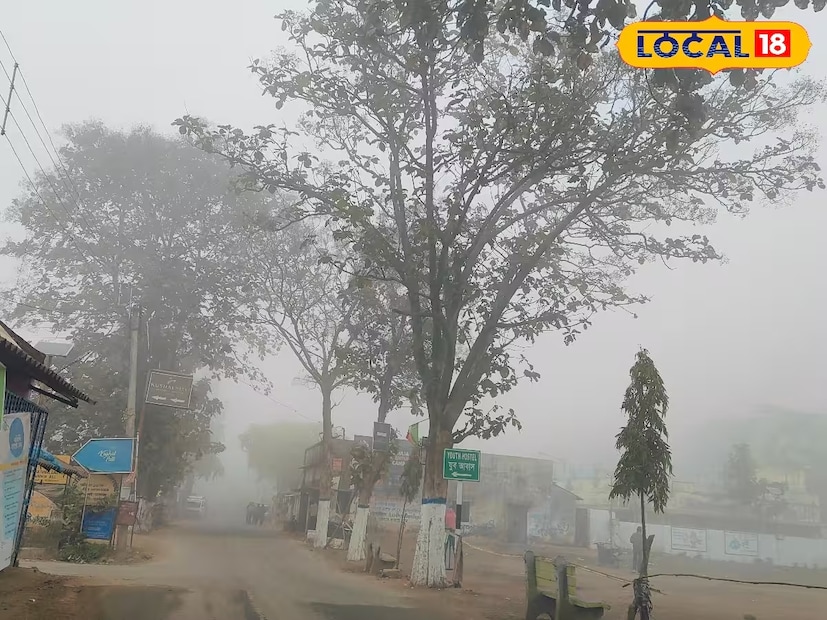 জেলা পুরুলিয়া সকাল থেকেই কুয়াশার চাদরে ঢেকেছে। তাপমাত্রার পারদ খানিকটা কমেছে। তবে হাড় কাঁপান শীত নেই জেলায়। ‌ এই দিন জেলা পুরুলিয়া সর্বোচ্চ তাপমাত্রার পারদ থাকতে পারে ২৭ ডিগ্রি সেলসিয়াস ও সর্বনিম্ন তাপমাত্রার পারদ থাকতে পারে ১২ ডিগ্রি সেলসিয়াস বলে জানা গিয়েছে হাওয়া অফিস সূত্রে। ‌আবহাওয়ার পরিবর্তনের সঙ্গে ক্রমাগতই পাল্লা দিয়ে পরিবর্তন হচ্ছে তাপমাত্রার। ‌ আবহাওয়ার বদল ঘটছে।