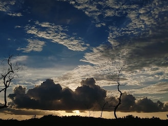 শীতের দাপট রাজ্যে, আপাতত নেই নতুন কোনও সিস্টেম, বঙ্গোপসাগরে কী অবস্থায় ঘূর্ণিঝড়?
