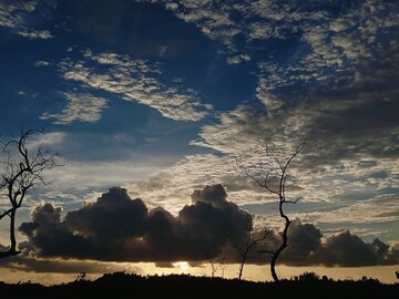 শীতের দাপট রাজ্যে, আপাতত নেই নতুন কোনও সিস্টেম, বঙ্গোপসাগরে কী অবস্থায় ঘূর্ণিঝড়?