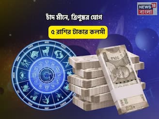 বিরাট কপাল, সোনার চামচ উঠবে মুখে! চাঁদ মীনে, ত্রিপুষ্কর যোগে ৫ রাশির টাকার কলসী