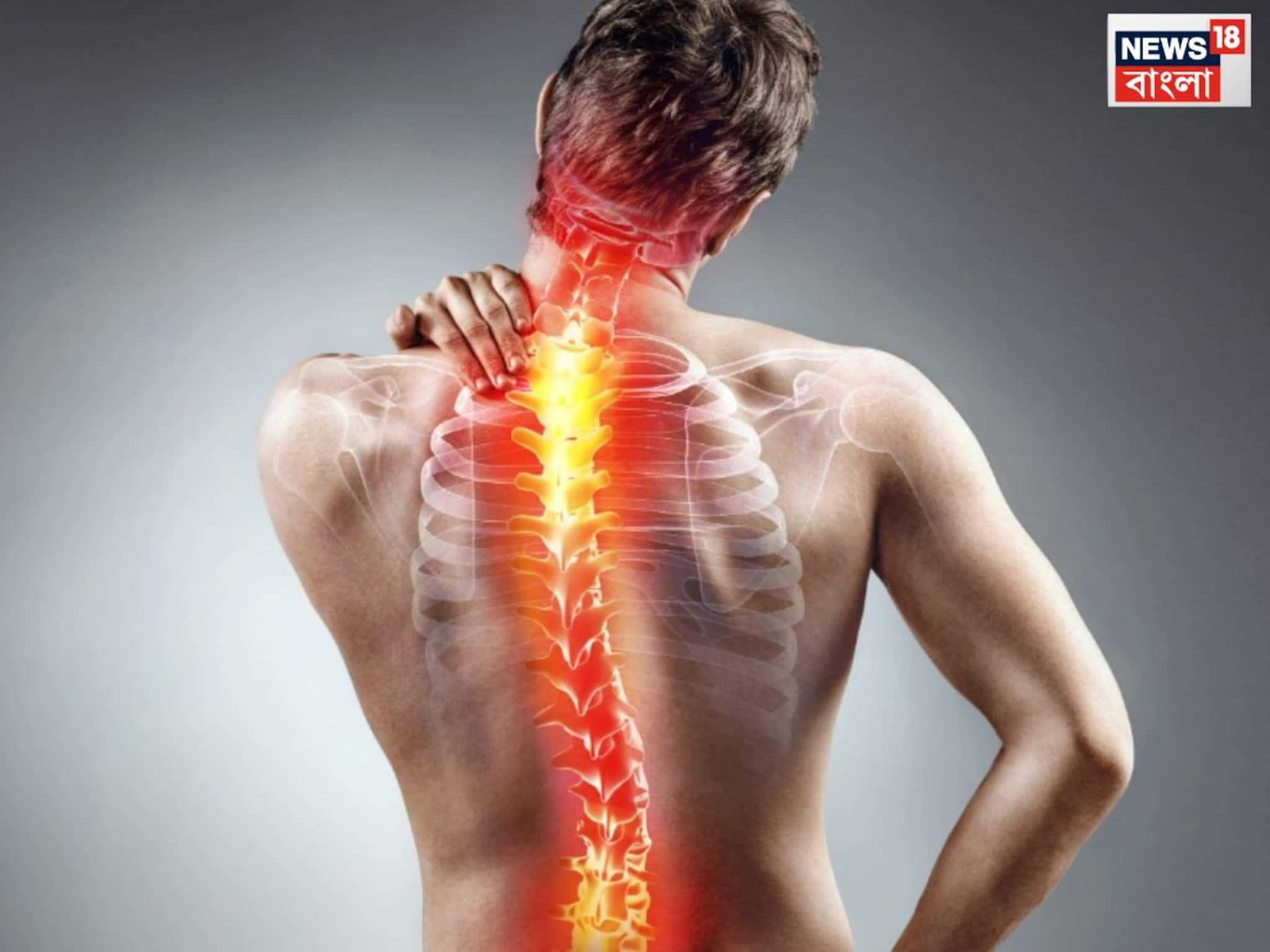 Health Tips: শীতে হাড়ের কনকন ব্যথায় কুঁকড়ে যান? 'মহৌষুধি' একটাই, কোন সময়,কীভাবে নিতে হবে, রইল ডিটেল চার্ট