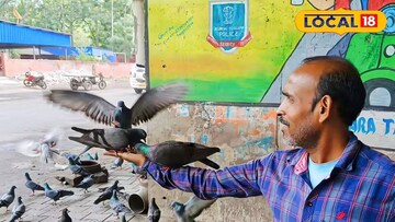 হরিহরবাবুর