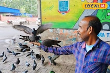 হরিহরের ঝালমুড়ি খেয়ে ফিদা শতাধিক পায়রা! বিক্রেতার হাত থেকেই খেয়ে যায় খাবার