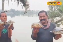 মাংস খেলে নয়, কচ্ছপ বাঁচিয়ে রাখলেই মানুষের লাভ! জানালেন বিশেষজ্ঞ
