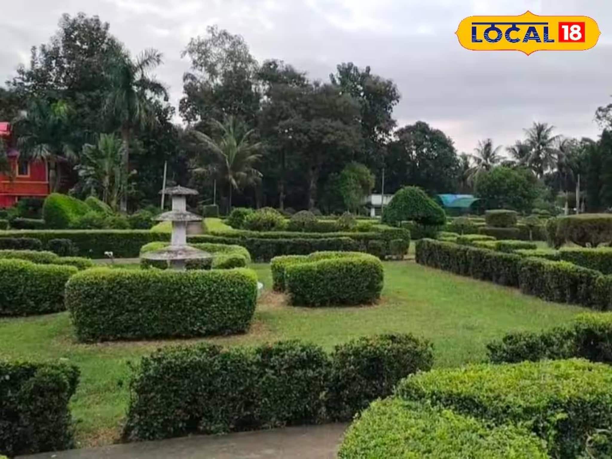 কলকাতার কাছেই টয় ট্রেন থেকে এভিয়ারি! হাতের নাগালে আদর্শ পিকনিক স্পট, নাম জানুন